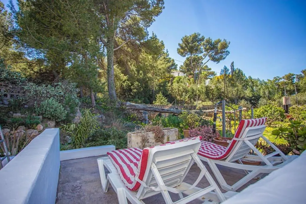 Casa De Campo Cala Bassa San José Hiszpania